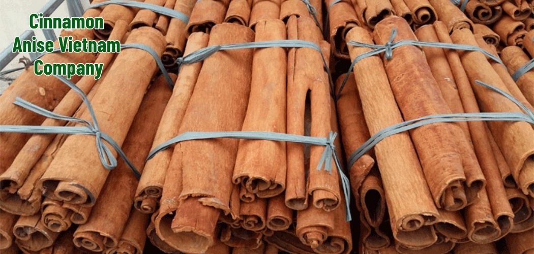 Cinnamon Anise Vietnam Company