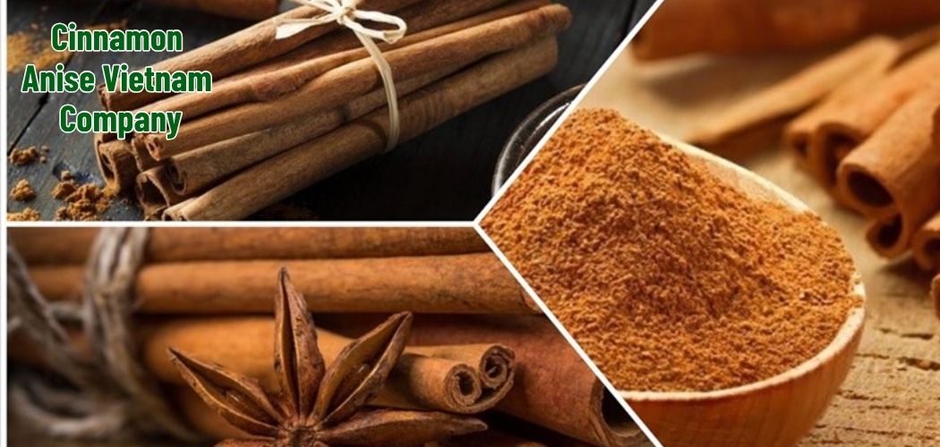 Cinnamon Anise Vietnam Company