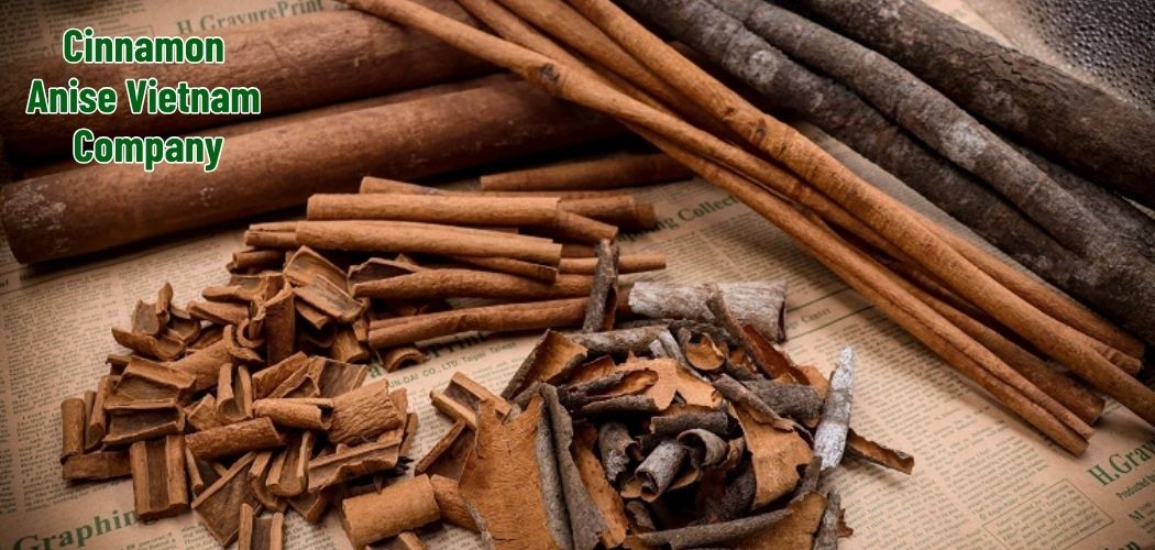 Cinnamon Anise Vietnam Company