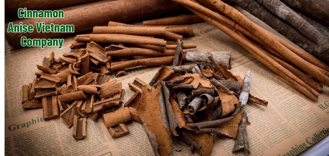 Cinnamon Anise Vietnam Company