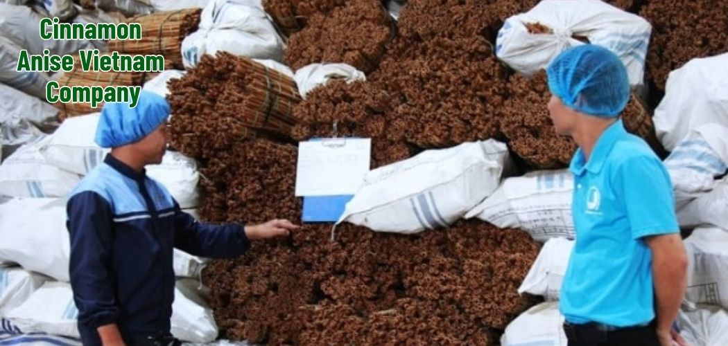 Cinnamon Anise Vietnam Company 4