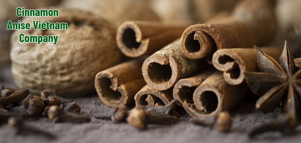 Cinnamon Anise Vietnam Company