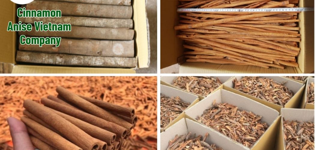 Cinnamon Anise Vietnam Company 5